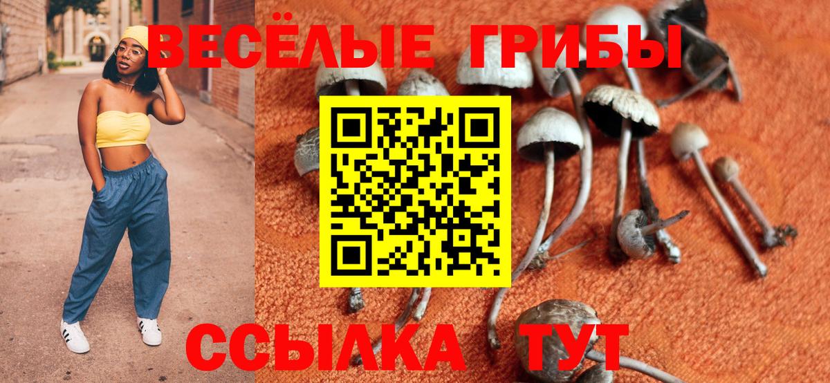 Псилоцибиновые грибы Magic Shrooms Новочеркасск
