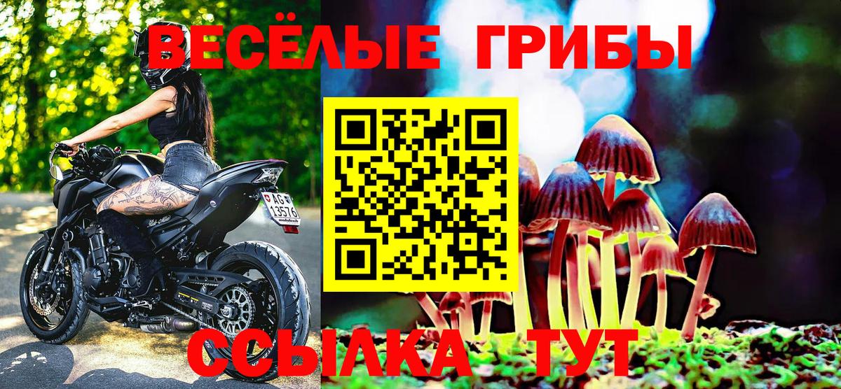 наркошоп  Псилоцибиновые грибы GOLDEN TEACHER  Вход с VPN  Новочеркасск 